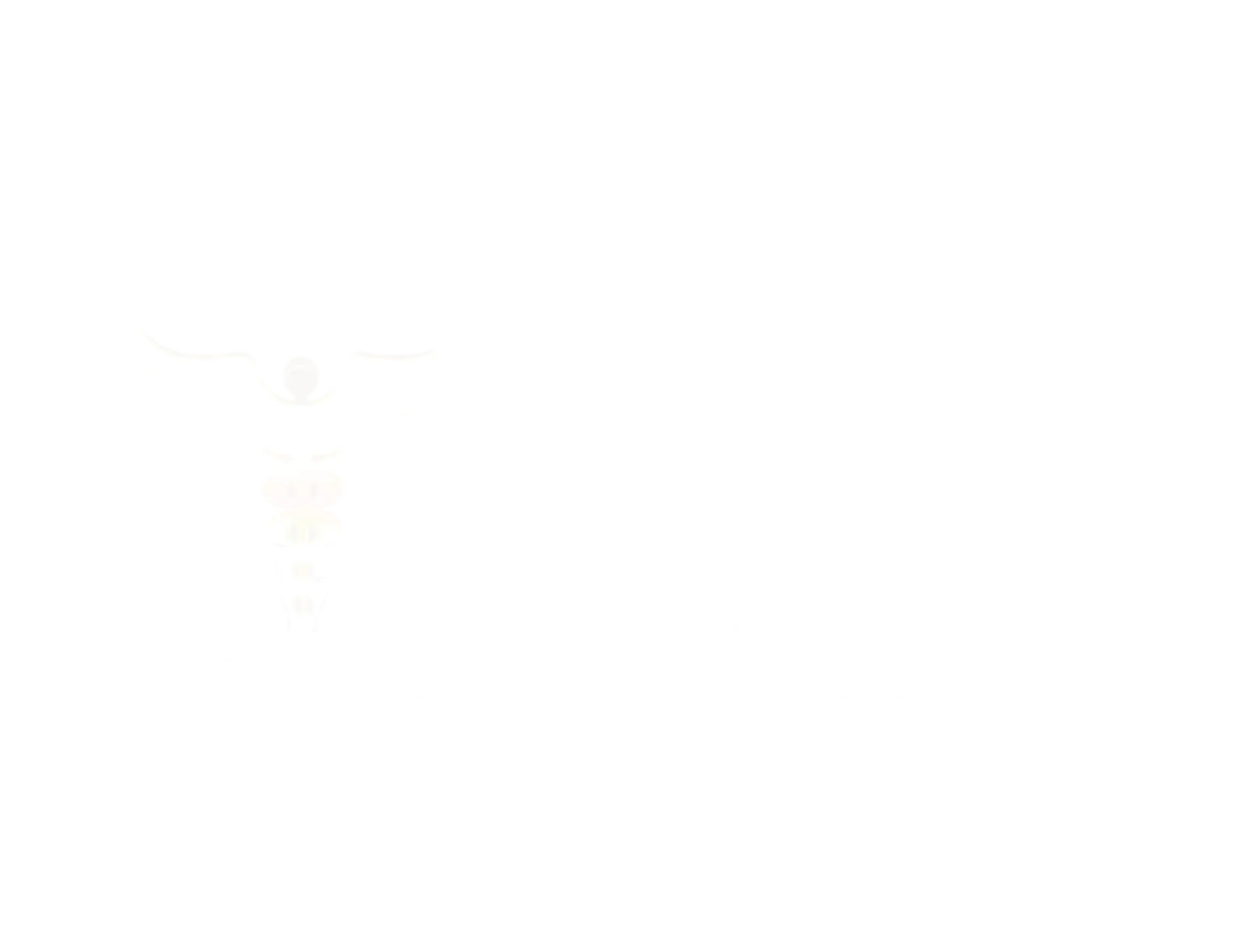 logo cemsaf