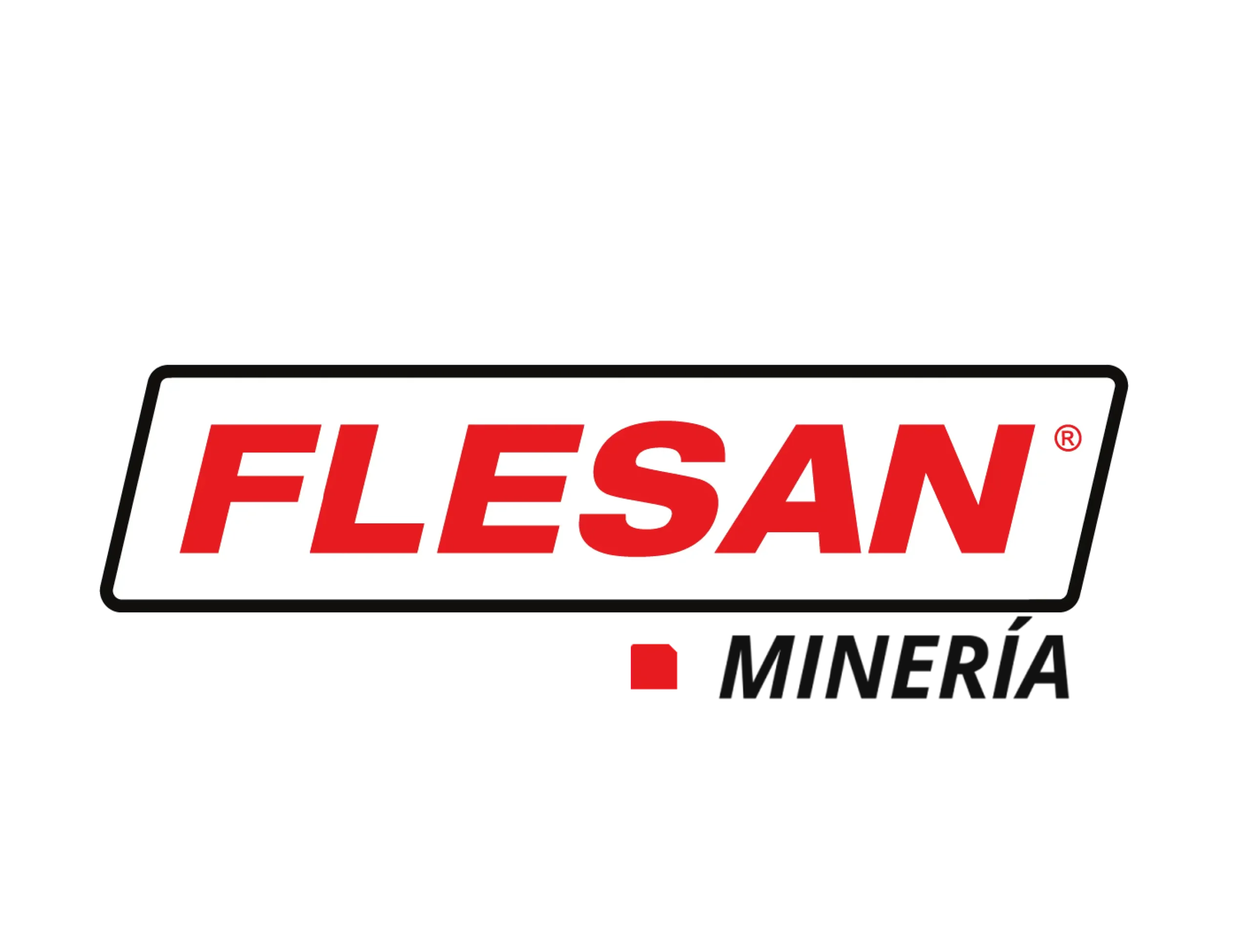 logo flesan